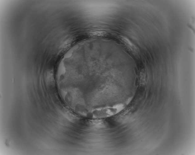 X0000091290377200708171351