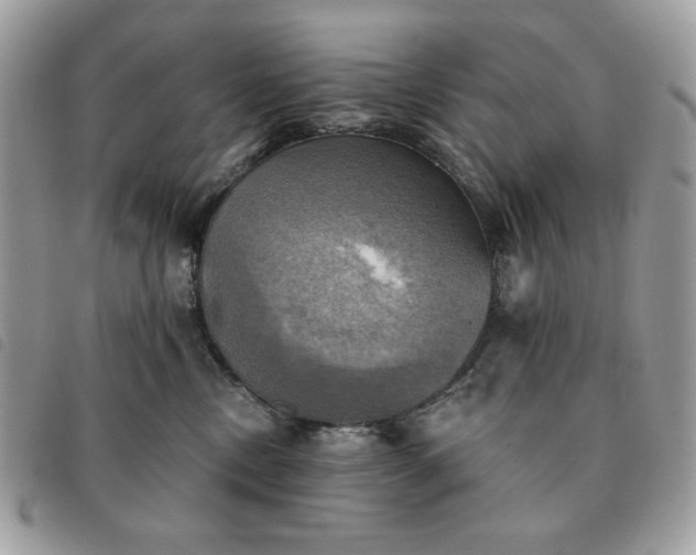 X0000091290378200708171351