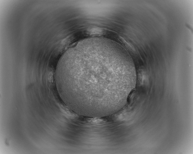 X0000091290379200708171351