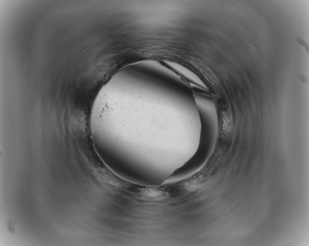 X0000091290380200708171351