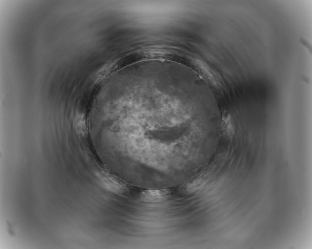 X0000091290381200708171351