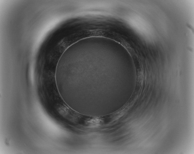 X0000091290383200708171351