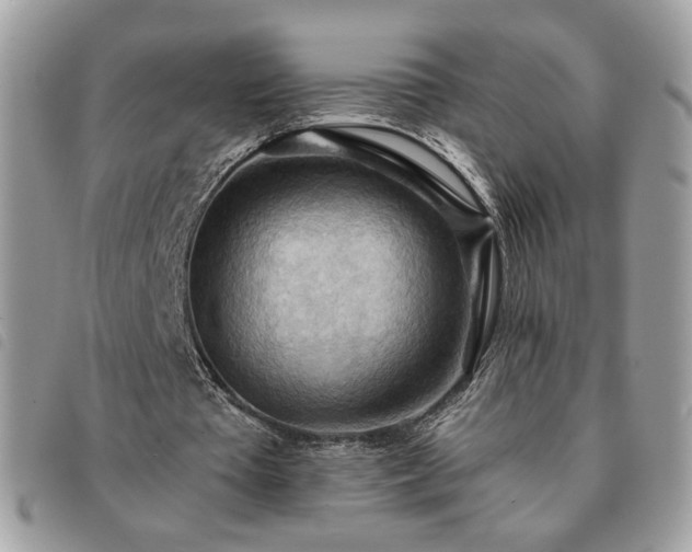 X0000091290385200708171350