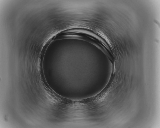 X0000091290387200708171350