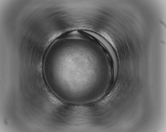 X0000091290389200708171350