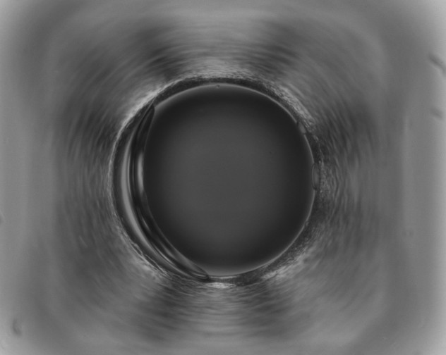 X0000091290391200708171350