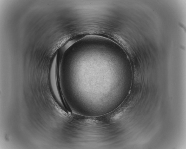 X0000091290393200708171350