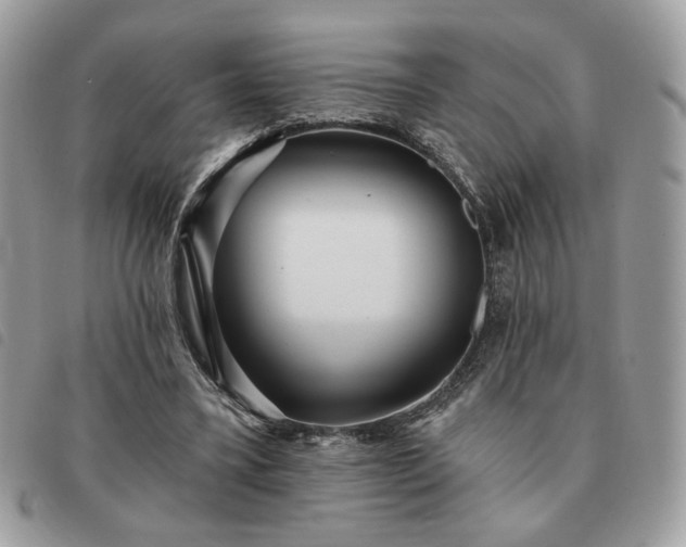 X0000091290395200708171350