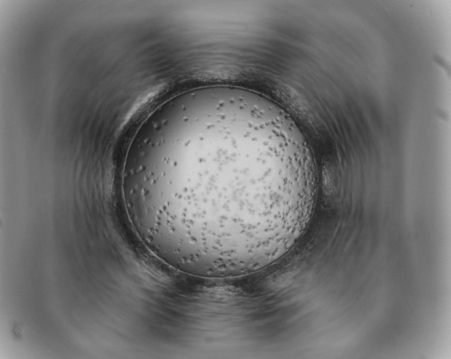 X0000091290396200708171350