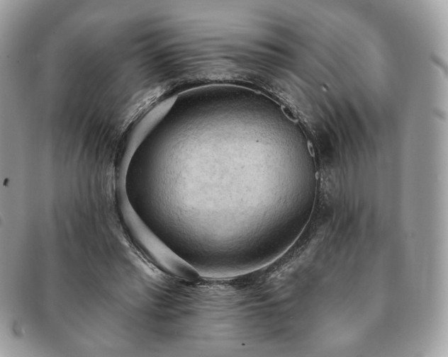 X0000091290397200708171350