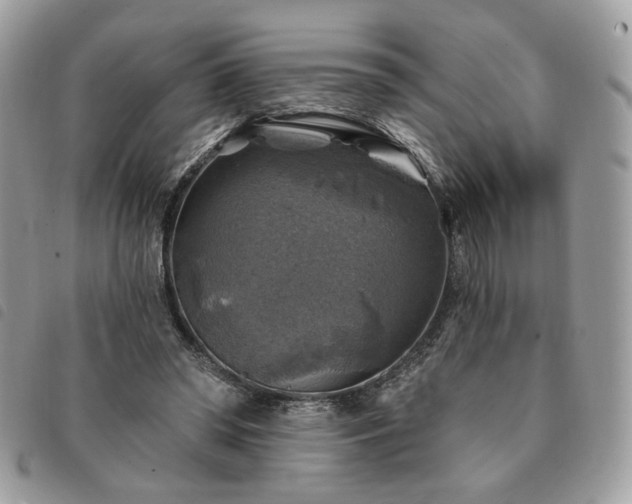 X0000091290398200708171350