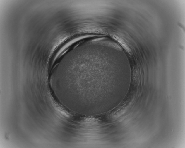 X0000091290399200708171350