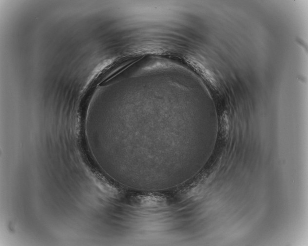 X0000091290400200708171350