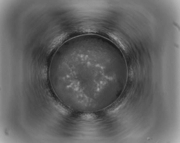 X0000091290402200708171350