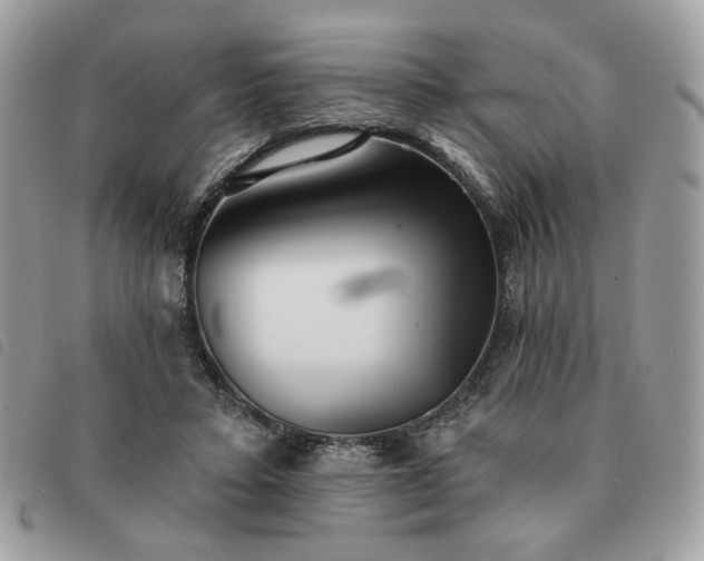 X0000091290403200708171350