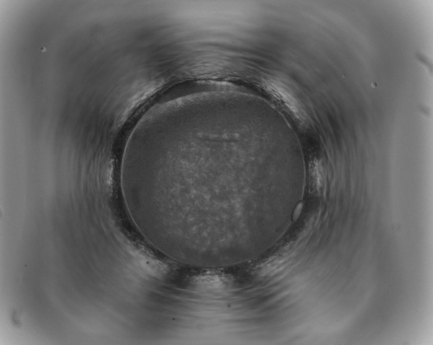 X0000091290404200708171350