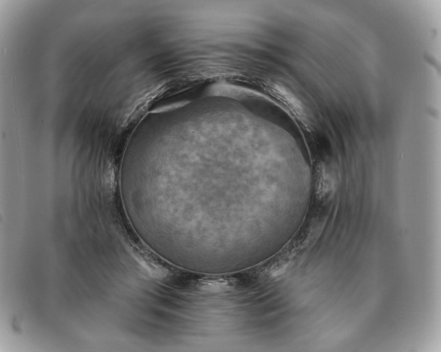 X0000091290405200708171350