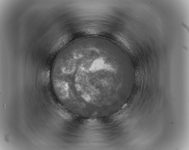 X0000091290406200708171350