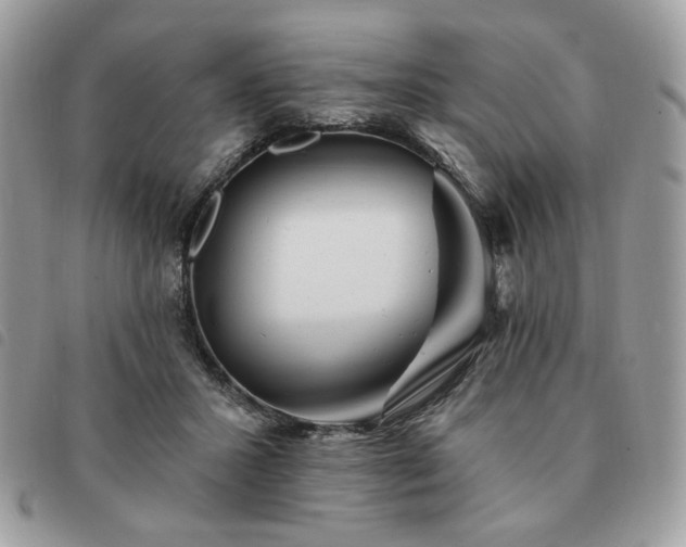 X0000091290407200708171350