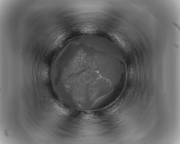 X0000091290408200708171350