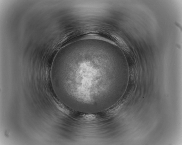 X0000091290409200708171350