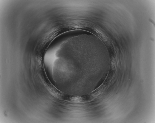 X0000091290410200708171350