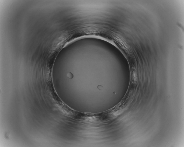 X0000091290411200708171350