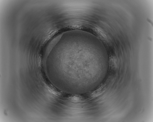 X0000091290412200708171350