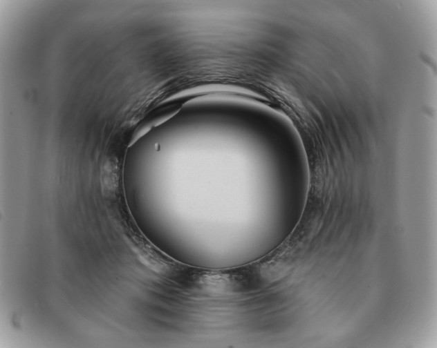 X0000091290413200708171350