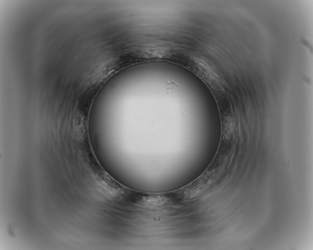 X0000091290414200708171350