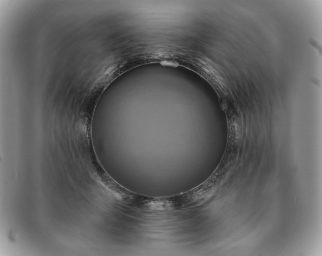 X0000091290415200708171350