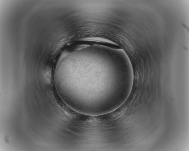 X0000091290416200708171350