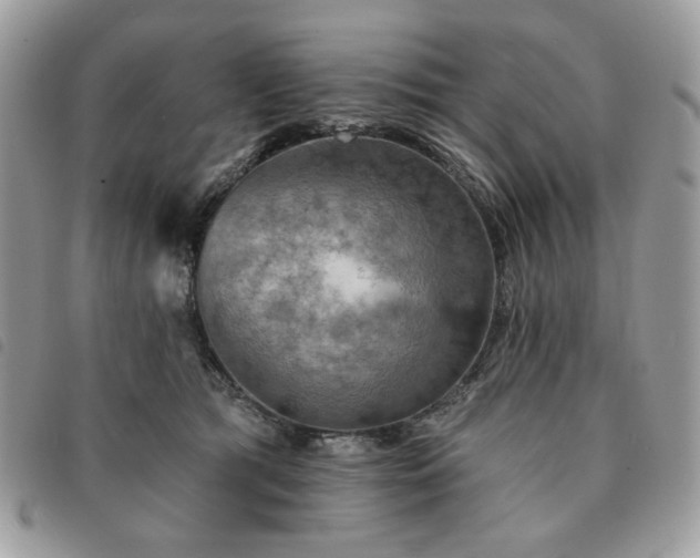 X0000091290417200708171350