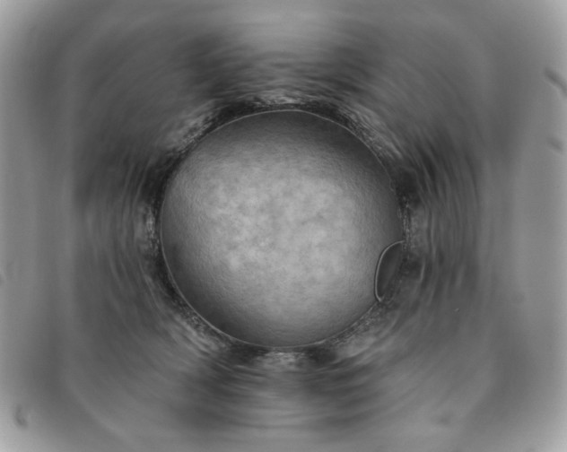 X0000091290418200708171350