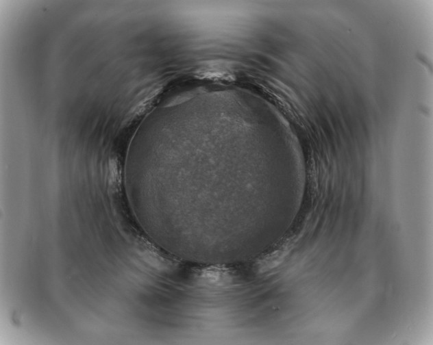 X0000091290420200708171350