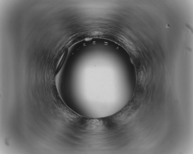 X0000091290421200708171350