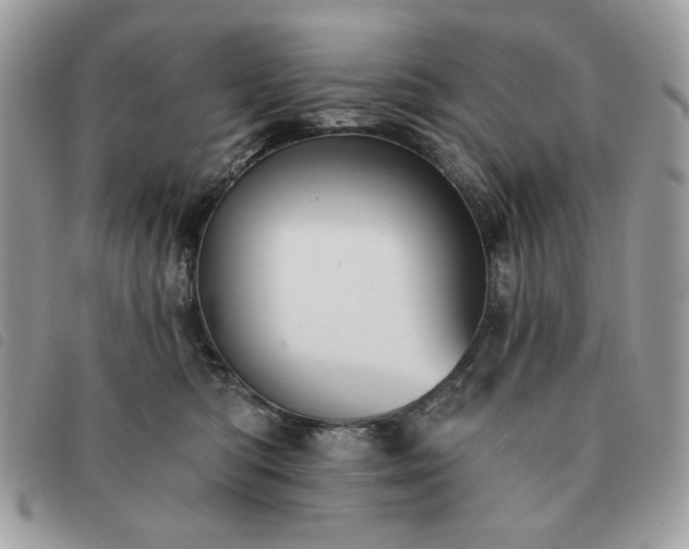 X0000091290422200708171350