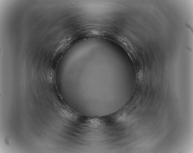 X0000091290423200708171349