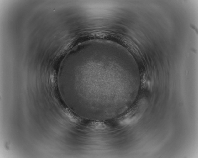 X0000091290424200708171349