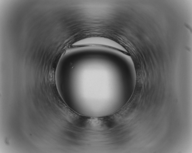 X0000091290425200708171349