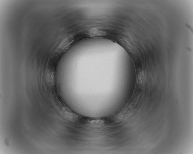 X0000091290426200708171349