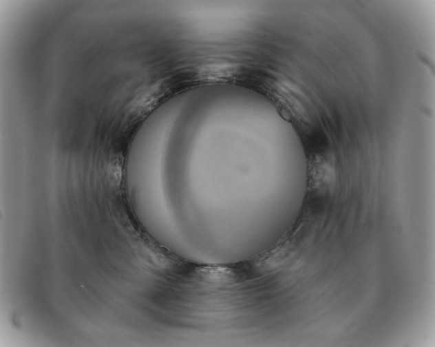 X0000091290427200708171349