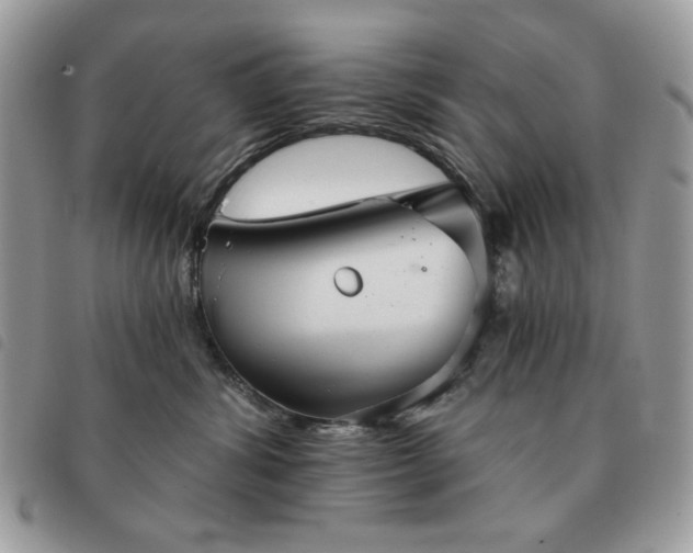 X0000091290428200708171349