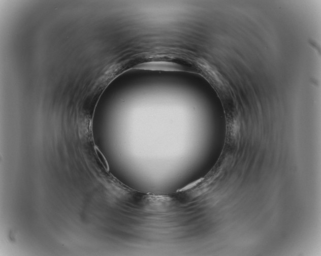 X0000091290429200708171349