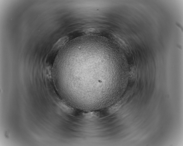 X0000091290430200708171349