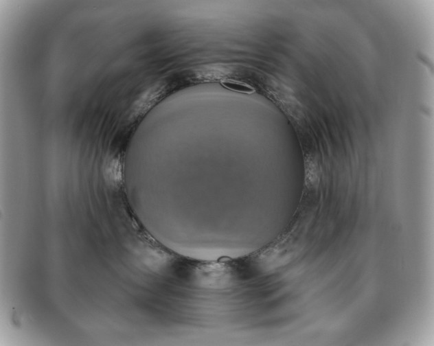 X0000091290431200708171349