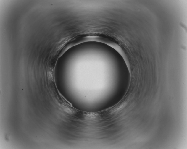 X0000091290432200708171349