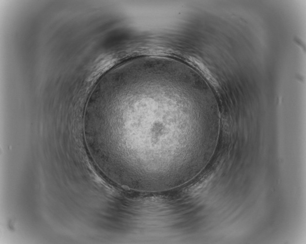 X0000091290433200708171349