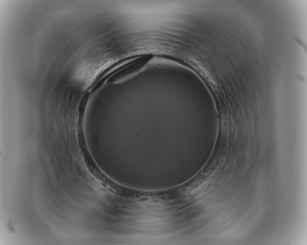 X0000091290434200708171349