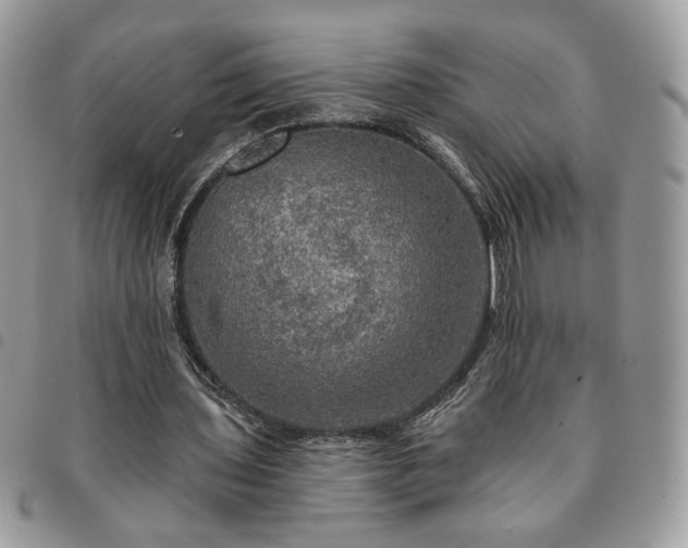 X0000091290435200708171349